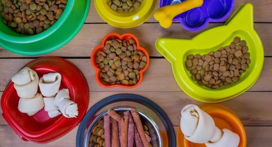 Qué tipos de comederos para perros puedo comprar
